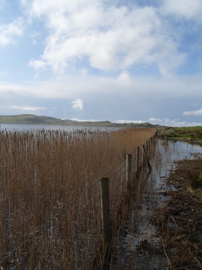 Guest house The Mill Dunfanaghy